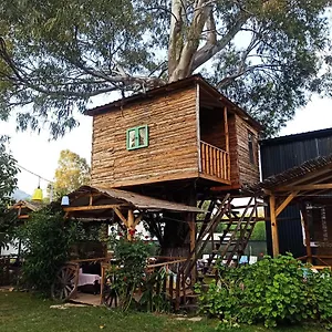 uygunluğu kontrol et